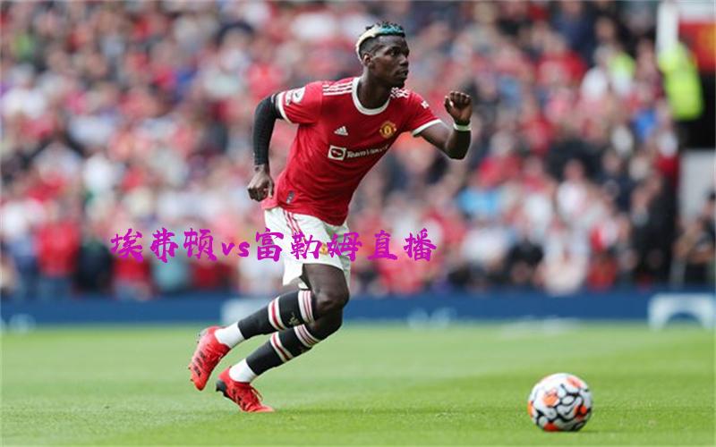 英超比赛埃弗顿vs富勒姆直播